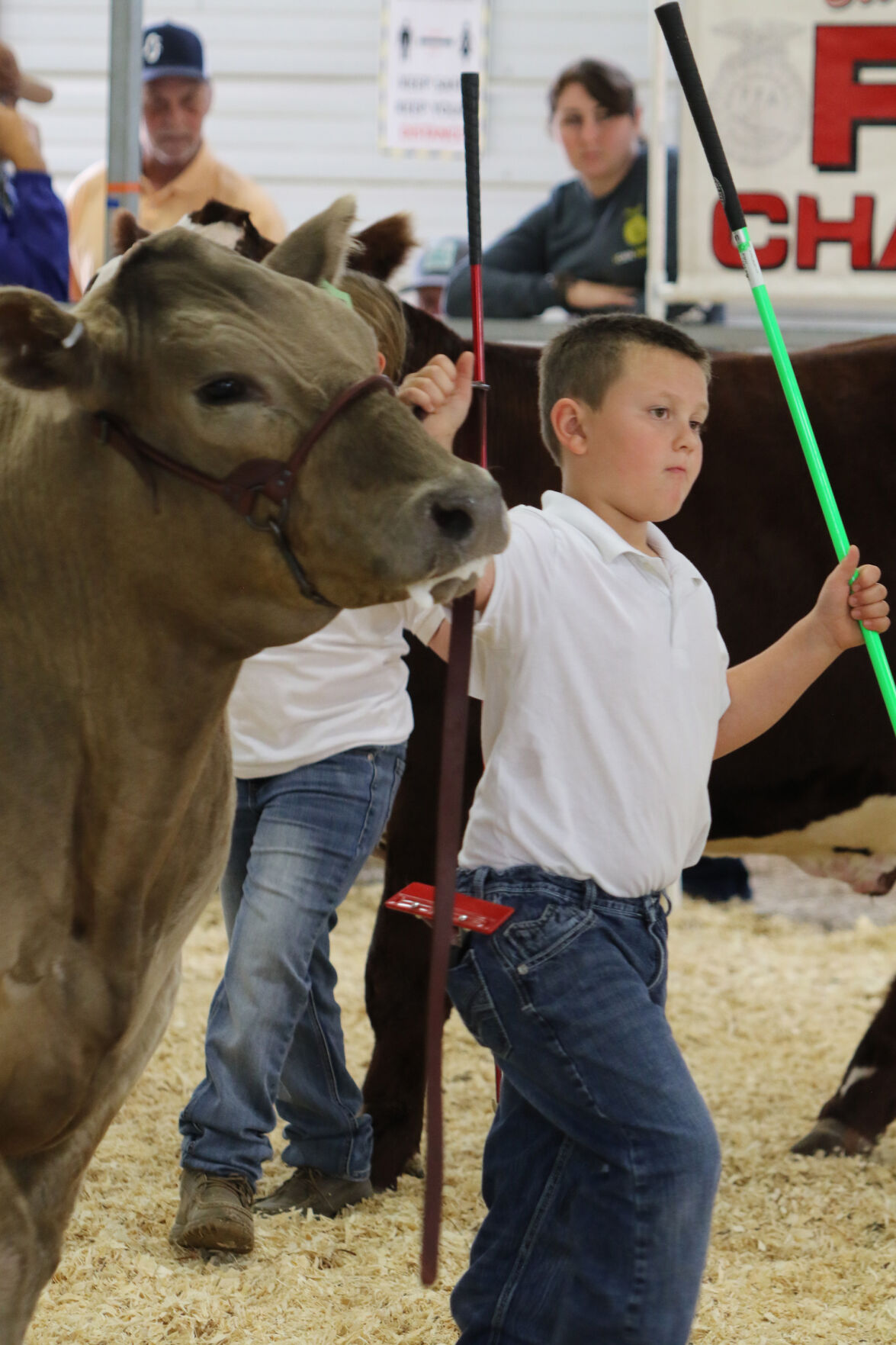 PHOTOS: Market Beef Show 2020